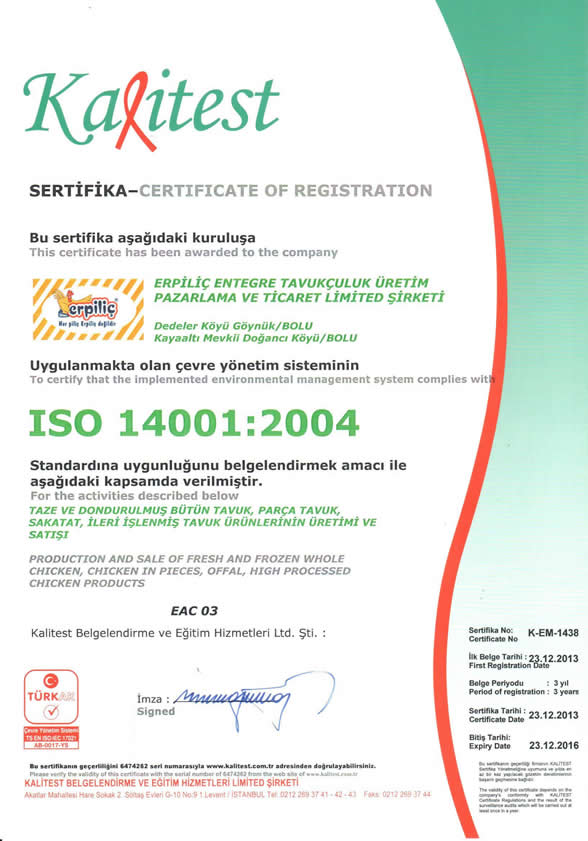 ISO 14001:2004